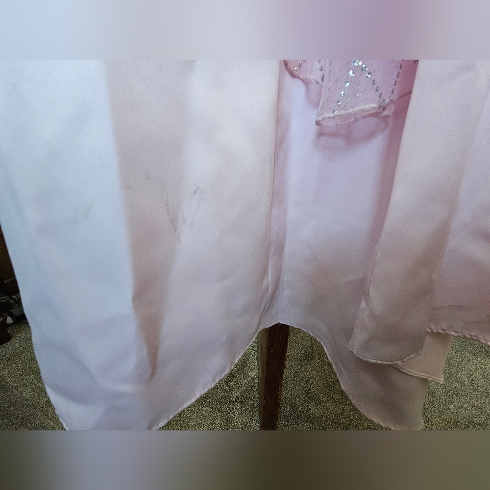 Unbranded Unsized Strapless Light Pink Maxi Prom Dress with Cequins on Mesh - Picture 9 of 12